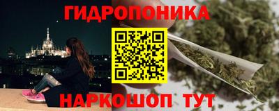 стаф Будённовск