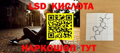 шишки Бузулук