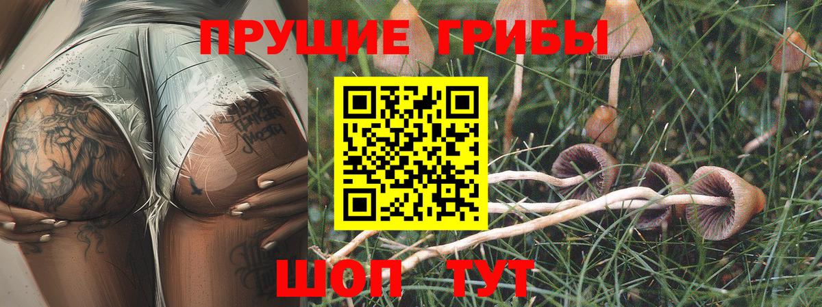 Нурлат  Псилоцибиновые грибы MAGIC MUSHROOMS  Вход с VPN 