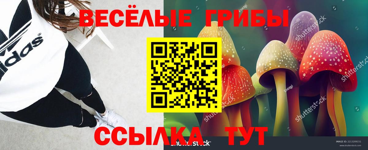 Псилоцибиновые грибы MAGIC MUSHROOMS Нурлат